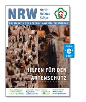 Magazin der NRW-Stiftung Ausgabe 1/2025