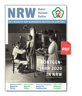 Stiftungsmagazin NR. 2 | 2019/20