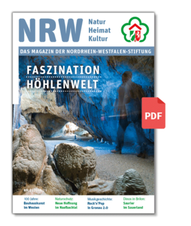 Stiftungsmagazin NR. 2 | 2018/19
