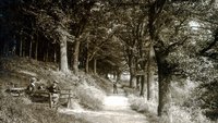 Foto: Stiftung Naturschutzgeschichte
