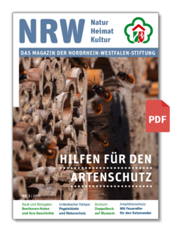 PDF-Ausgabe des Magazin 1/2025
