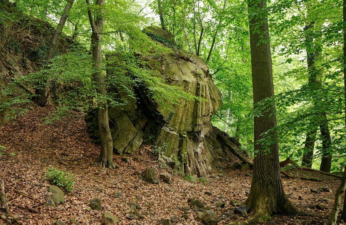 Nicht nur der Wald, sondern auch Vulkanfelsen bilden faszinierende Einblicke in die Geschichte des Siebengebirges: Ein Basalt-Sphäroid am Südhang des Petersbergs.