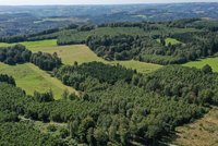 Wald, Reste von Heide und Grünland
